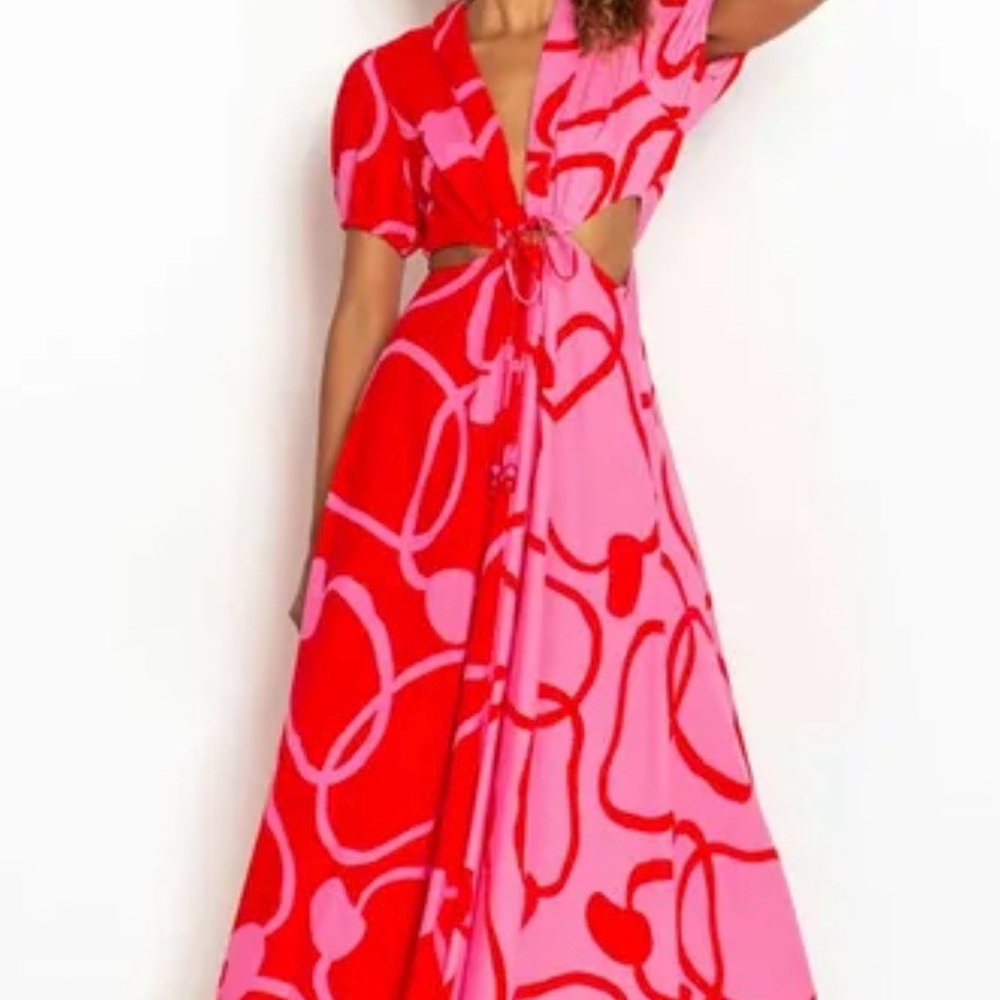 FARM Rio Red and Pink cashews Patterned Dress - Picture 4 of 10